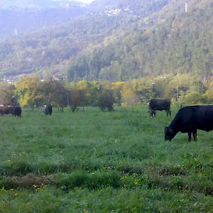 Biobio Vobarno